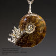 Ammonite and Sterling Pendant